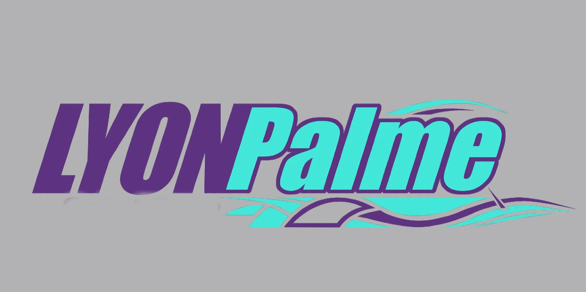 Lyonpalme — Gestion des adhérents